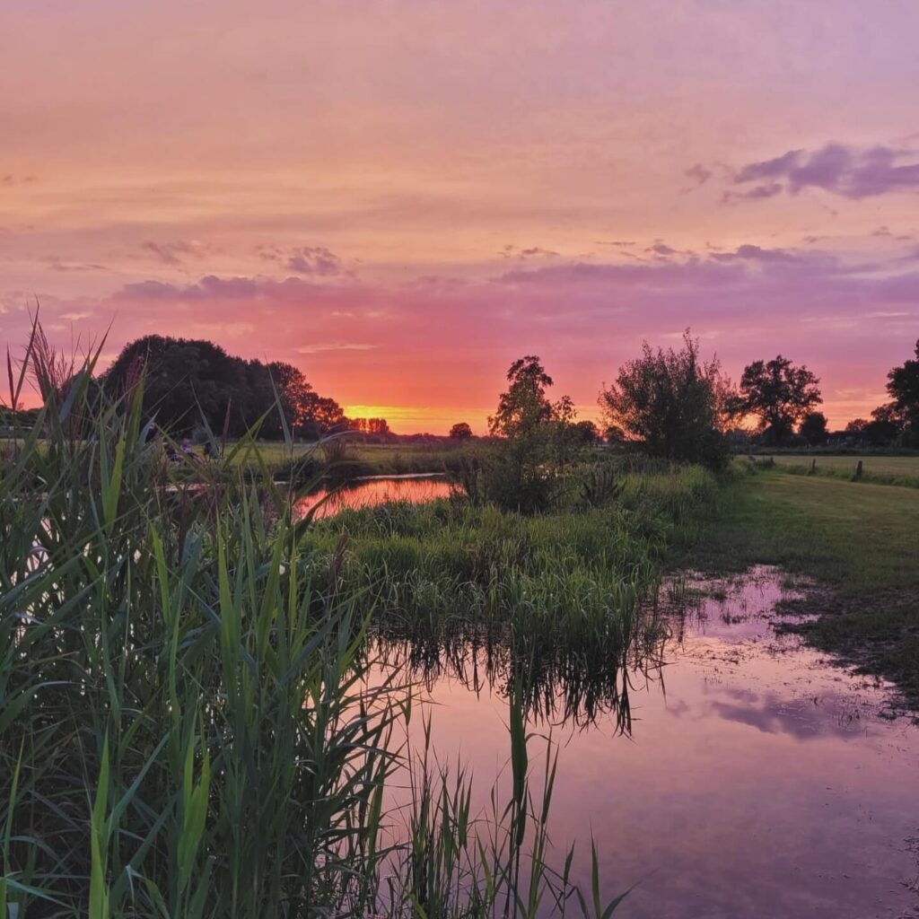 Lunchen Jachthaven van Oversteeg