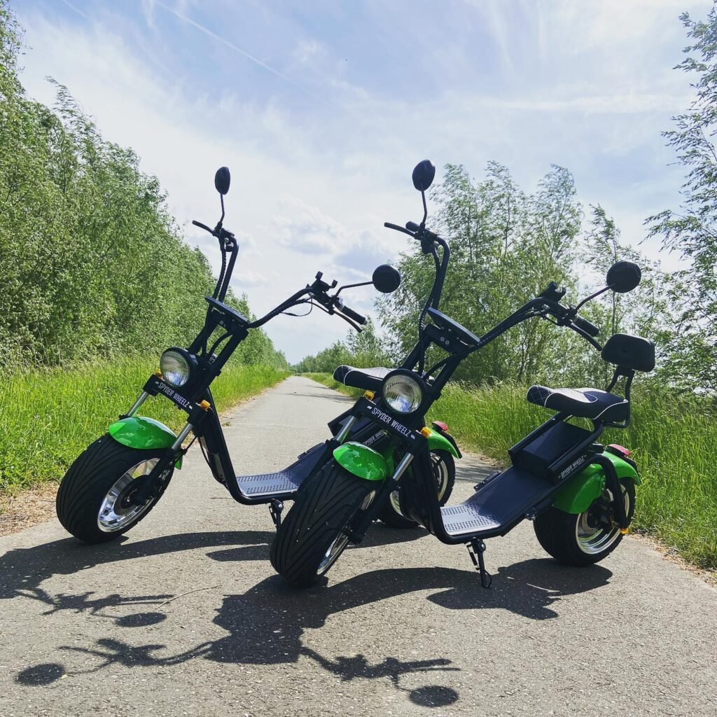 e-chopper Jachthaven van Oversteeg
