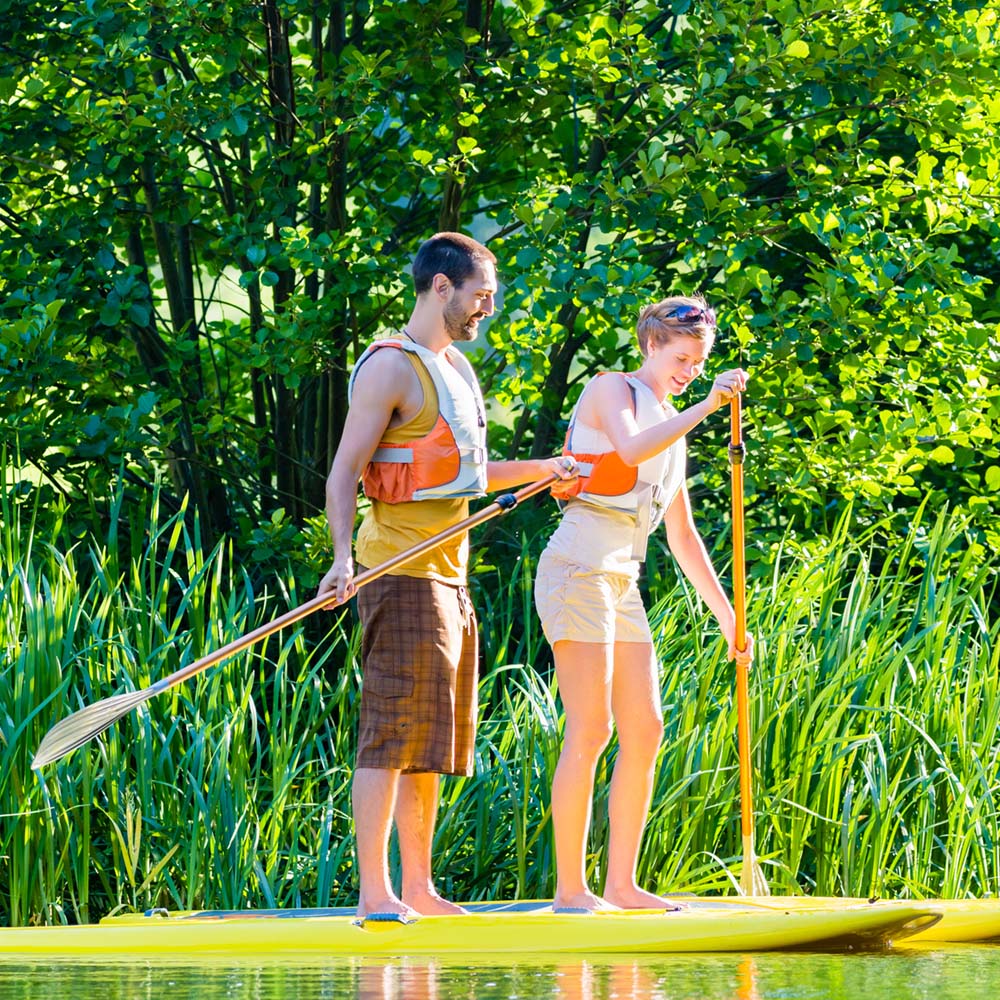 dagtocht per sup in de biesbosch